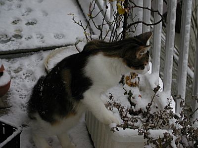 2001_01_05.jpg