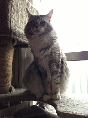 2012-11-11 14.27.10.jpg