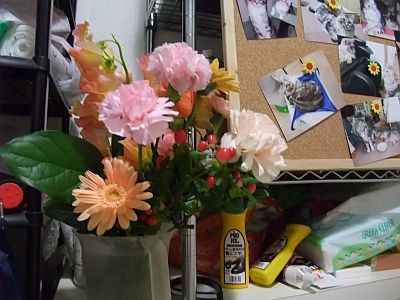DSCF3602.jpg