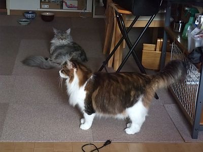 DSCF4610.jpg