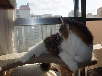DSCF4682.jpg