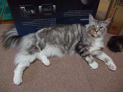 DSCF4733.jpg