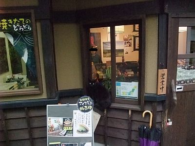 どらどらの店先の猫さん