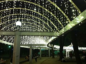 天神警固公園イルミネーション1