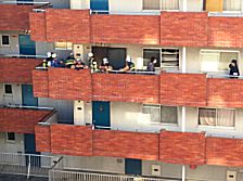 IMG_0992.jpg