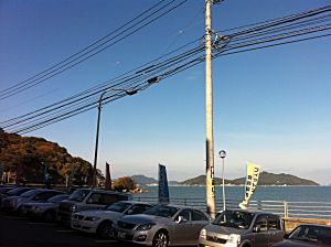 IMG_1002.jpg