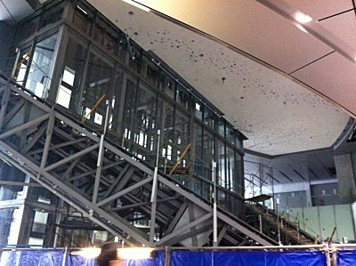 IMG_1139.jpg