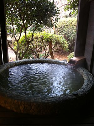 蘇山郷草原の間部屋風呂