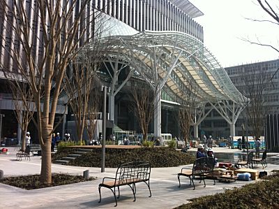 IMG_2185.jpg
