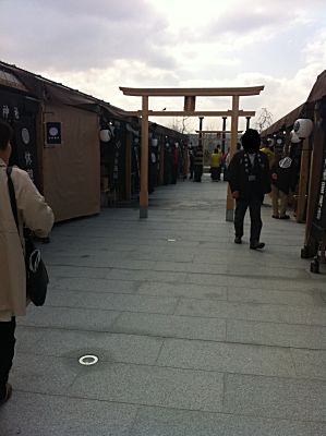 IMG_2298.jpg