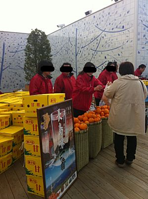 IMG_2300.jpg