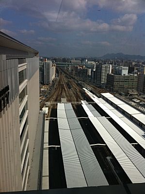 IMG_2314.jpg