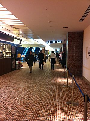 IMG_2321.jpg