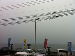 IMG_2964.jpg