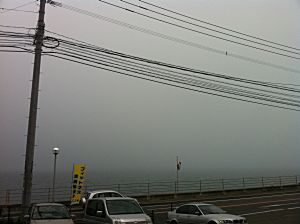 IMG_2966.jpg