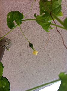 IMG_3633.jpg
