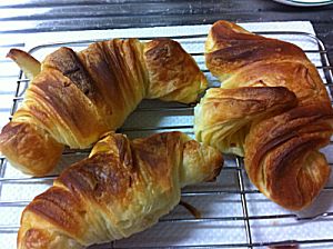 IMG_4677.jpg