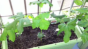 IMG_6053.jpg